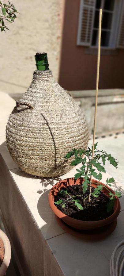Luxury Apartment - Old Soul With A New Heart Cres Εξωτερικό φωτογραφία